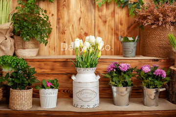 Avezano Spring Potted Flowers White Backdrop Designed By Danyelle Pinnington