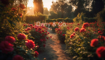 Avezano Red Rose Garden Backdrop Designed By Danyelle Pinnington