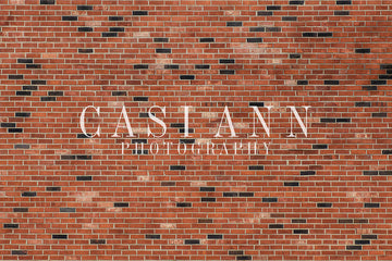 Avezano Red and Black Brick Wall Photography Backdrop Designed By Casi Ann