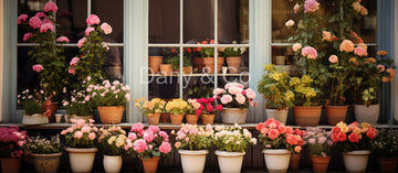 Avezano Flower Shop Potted Flowers Backdrop Designed By Danyelle Pinnington