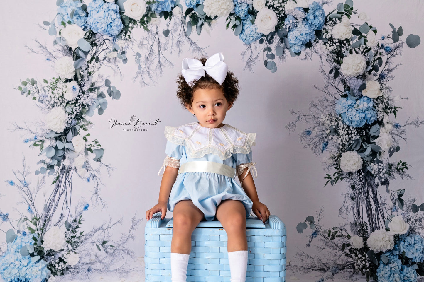 Avezano Blue and White Flowers Arch Photography Backdrop Designed By Polly Ro Design