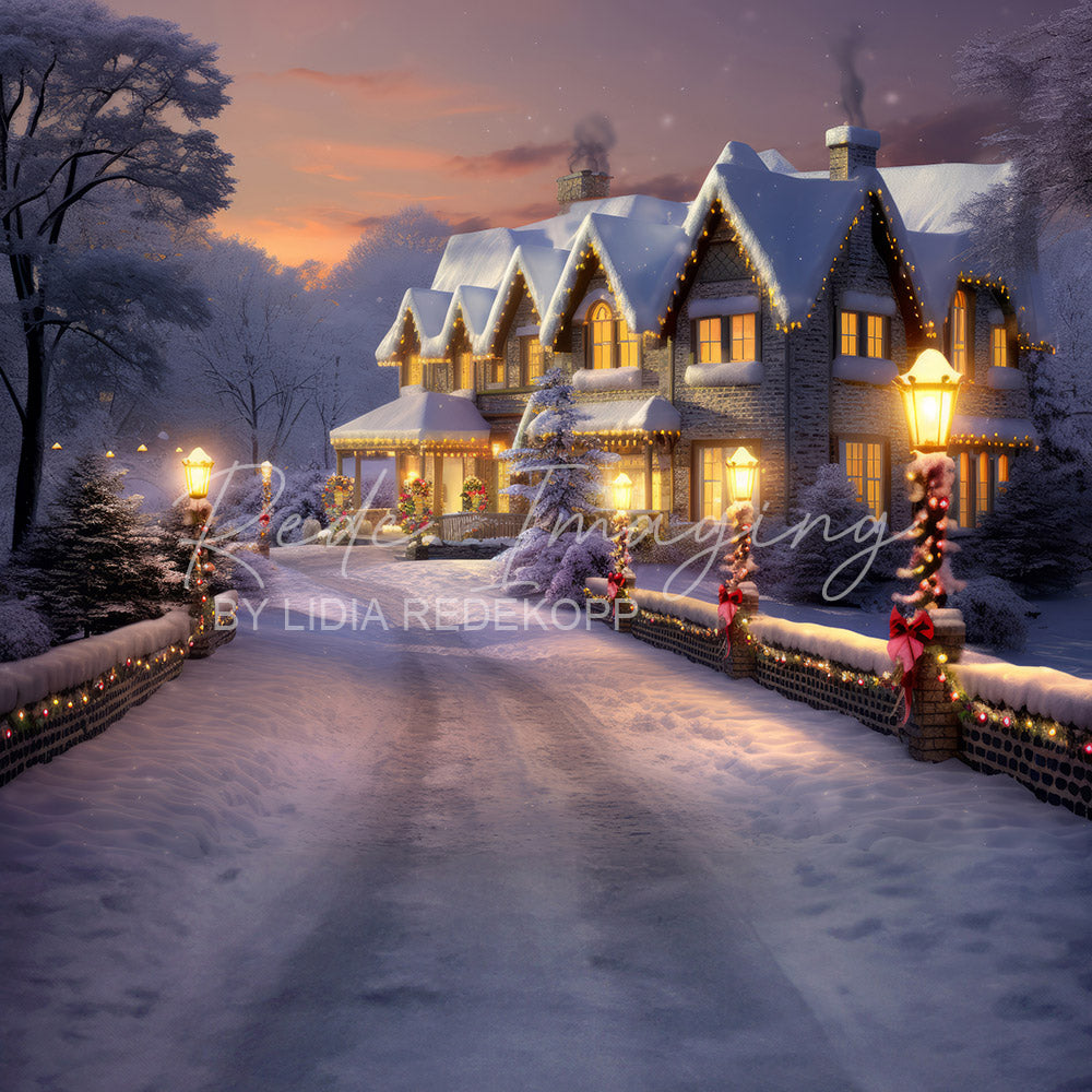 Avezano Enchanted Snowy Village Photography Backdrop Designed By Lidia Redekopp