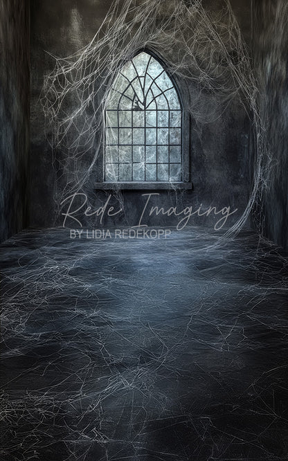 Avezano Giant Cobweb Arch Window Photography Backdrop Designed By Lidia Redekopp