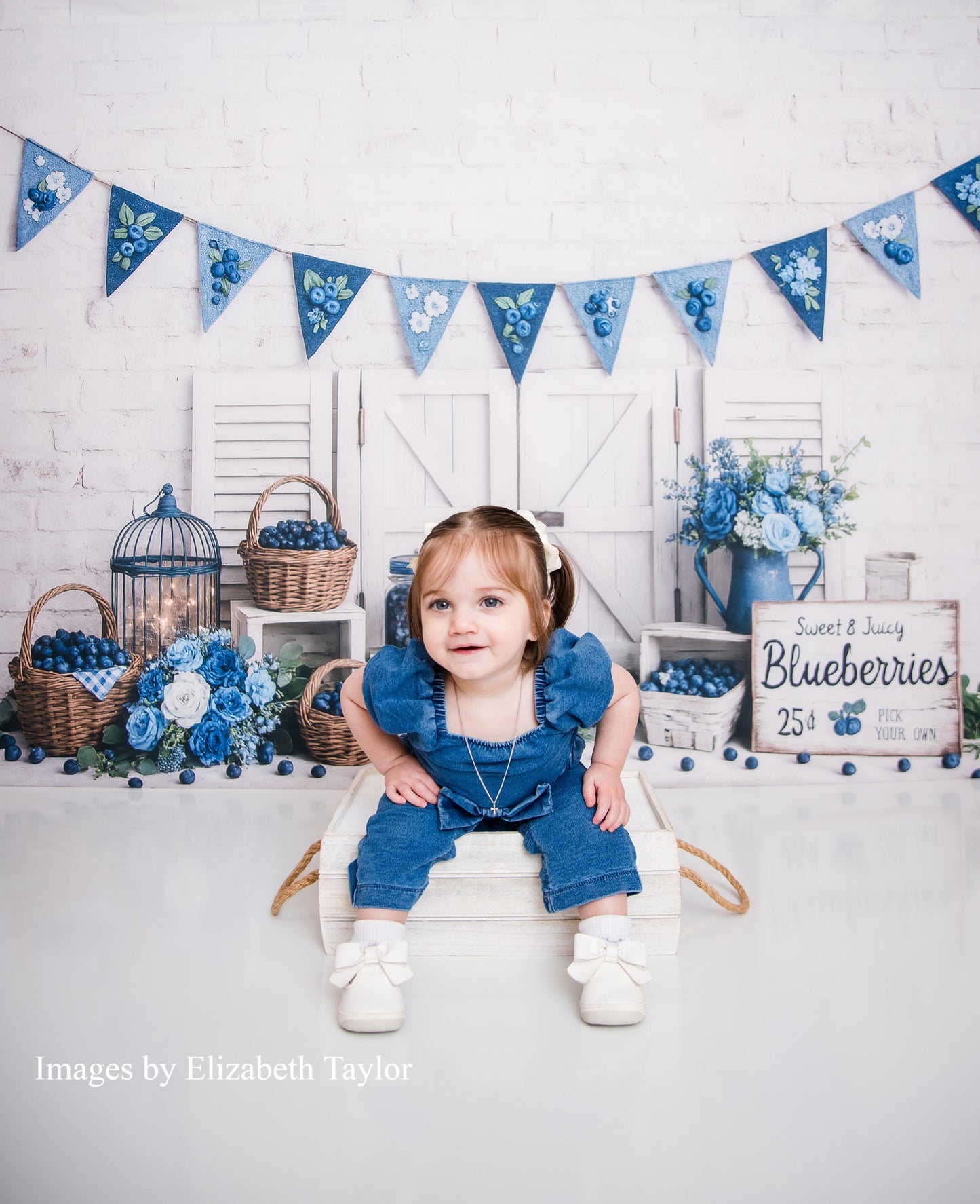 Avezano Blueberry Themed Backdrop Designed By Enchanted Design Studio