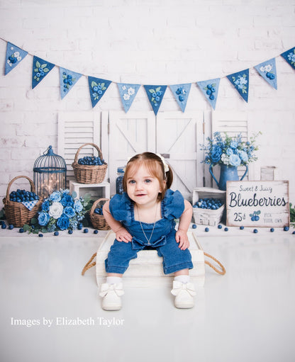 Avezano Blueberry Themed Backdrop Designed By Enchanted Design Studio