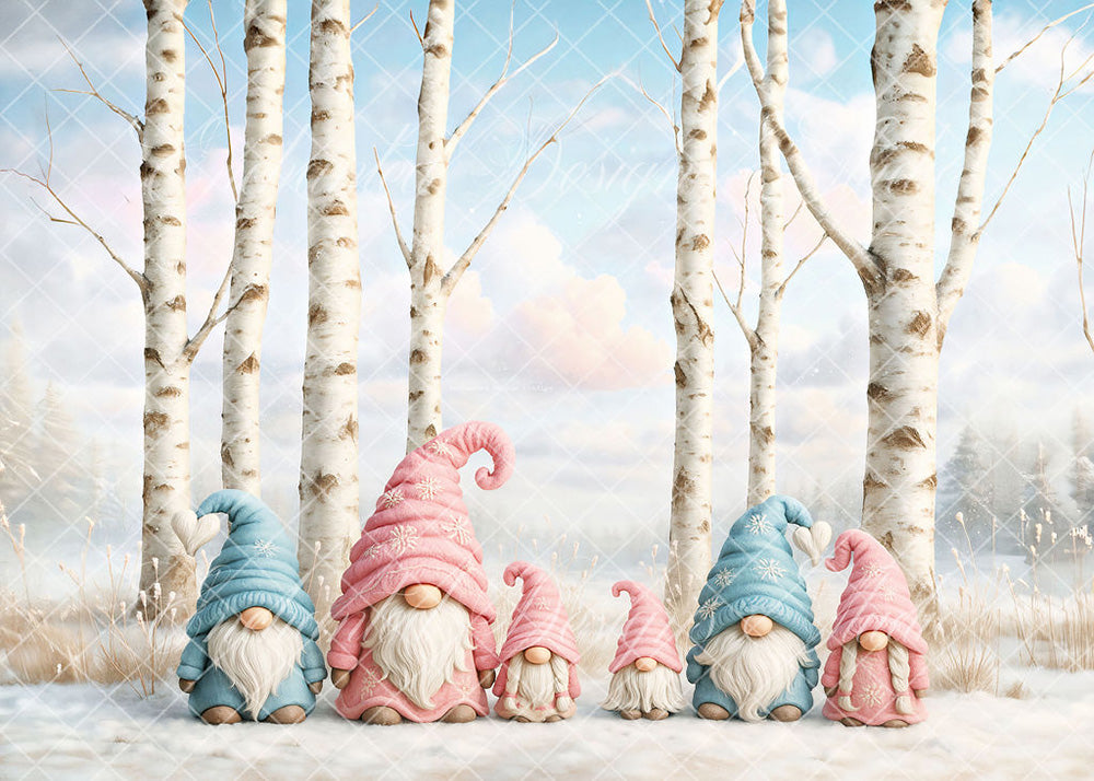 Avezano Winter Birch Forest Gnome Family Backdrop Designed By Enchanted Design Studio