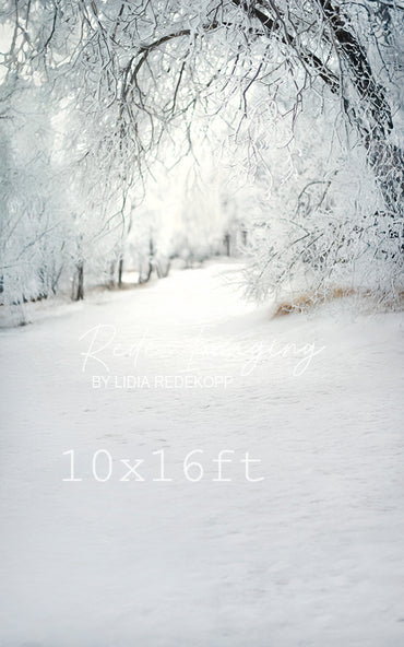 Avezano Frosty Tree Winter Photography Backdrop Designed By Lidia Redekopp