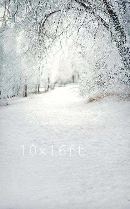 Avezano Frosty Tree Winter Photography Backdrop Designed By Lidia Redekopp