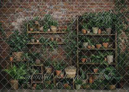 Avezano Brick Wall Potted Plant Backdrop Designed By Enchanted Design Studio
