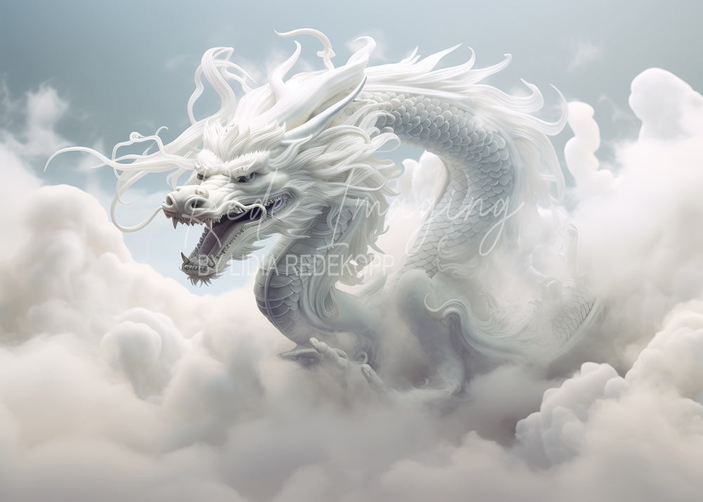 Avezano White Dragon Cloud Sky Photography Backdrop Designed By Lidia Redekopp
