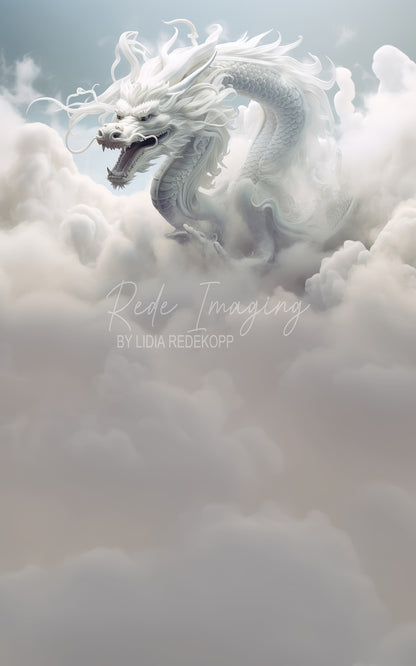Avezano White Dragon Cloud Sky Photography Backdrop Designed By Lidia Redekopp