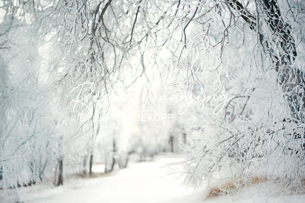 Avezano Frosty Snow Tree Winter Path Photography Backdrop Designed By Lidia Redekopp