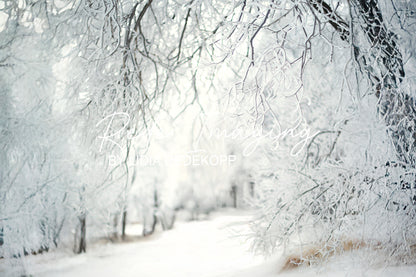 Avezano Frosty Snow Tree Winter Path Photography Backdrop Designed By Lidia Redekopp