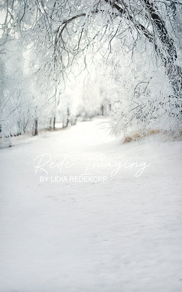 Avezano Frosty Snow Tree Winter Path Photography Backdrop Designed By Lidia Redekopp