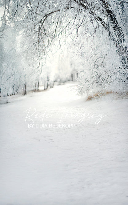 Avezano Frosty Snow Tree Winter Path Photography Backdrop Designed By Lidia Redekopp