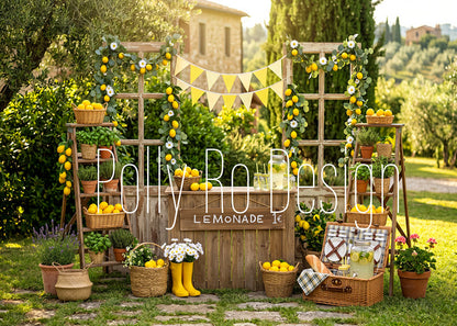 Avezano Outdoor Rustic Lemonade Stand Garden Photography Backdrop Designed By Polly Ro Design