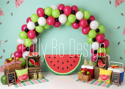 Avezano Watermelon Summer Picnic Balloon Arch Photography Backdrop Designed By Polly Ro Design