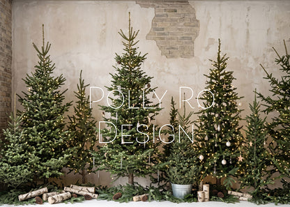 Avezano Rustic Brick Wall Fresh Fir Christmas Tree Photography Backdrop Designed By Polly Ro Design