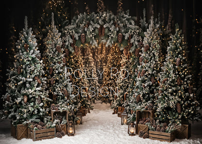 Avezano Frosty Pine Tree Snow Path Rustic Christmas Photography Backdrop Designed By Polly Ro Design