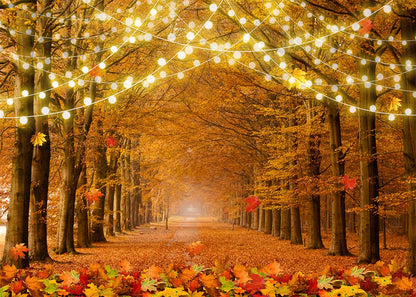 VIP Clearance Sale Avezano Autumn Forest Fairy Light Path Photography Backdrop