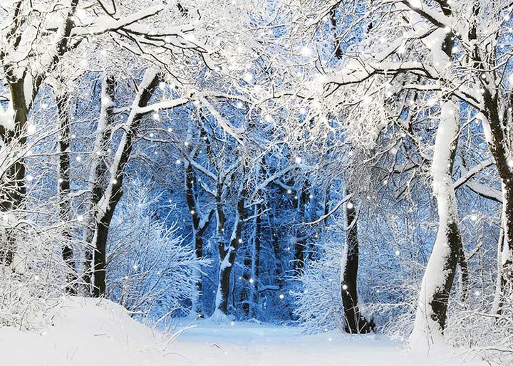 Avezano Winter Snow Scene Photography Backdrop-AVEZANO