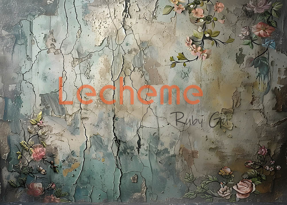 Avezano Crack Walls et Paint Flowers Photographie Toile de fond par Lecheme Ruby Gu