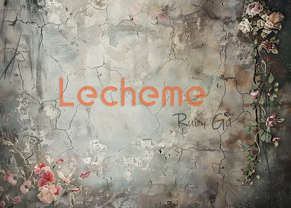 Toile de fond pour photographie de murs rétro d'Avezano par Lecheme Ruby Gu