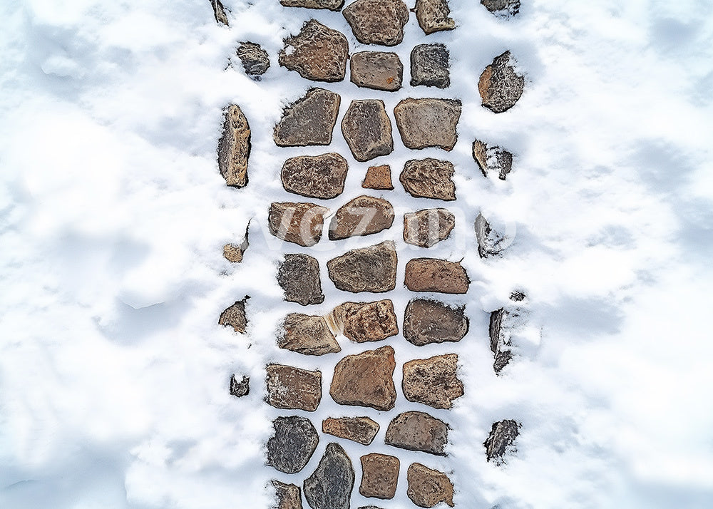 Avezano Snow on Christmas Street Photography Backdrop Scene Room Set