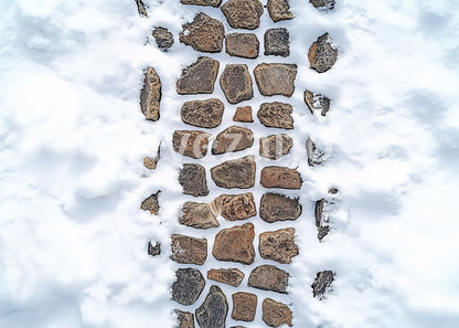 Avezano Snow on Christmas Street Photography Backdrop Scene Room Set