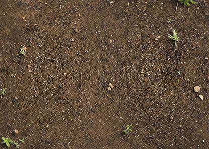 Avezano Autumn Red Truck Pumpkin 2 pcs Set Backdrop