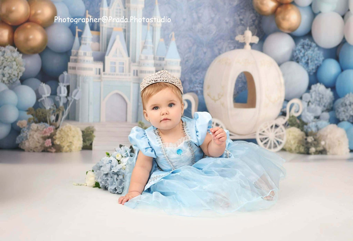 Avezano Fairytale Blue Castle Cinderella Photography Backdrop