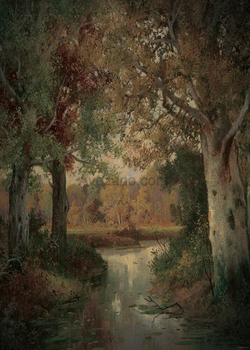 Avezano a Stream in a Deep Forest Oil Painting Photography Backdrop-AVEZANO