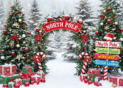 VIP Avezano North Pole Christmas Arch Photography Backdrop