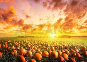 Avezano Autumn pumpkin Photography Backdrop-AVEZANO