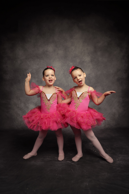 Toile de fond abstraite grise Avezano pour la photographie de portrait