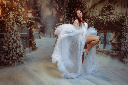 Avezano Hiver Noël Neige Lumières Photographie Toile De Fond Scène Ensemble De Salle