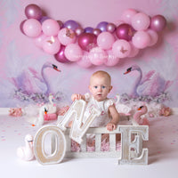 Avezano Pink Swan Balloon Theme Backdrop for Photography By Paula Easton-AVEZANO