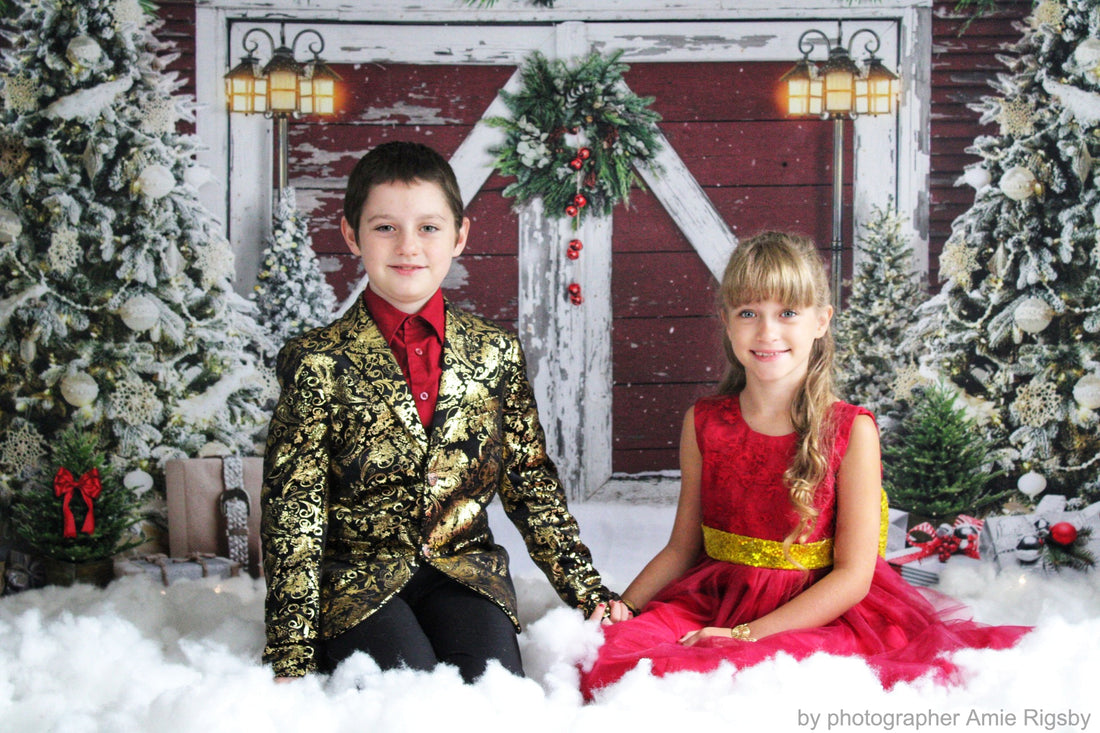 Avezano Christmas Snowy Red Wooden Door Backdrop For Photography
