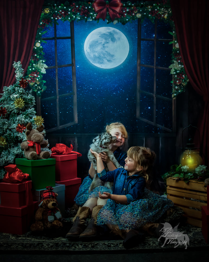 Avezano Christmas Window Photography Backdrop-AVEZANO