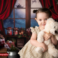 Avezano Christmas Gifts Candy Dolls Window Photography Backdrop-AVEZANO