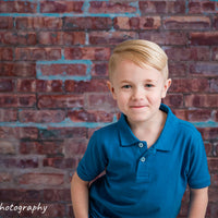 Avezano Red and Blue Brick Wall Photography Backdrop Designed By Casi Ann