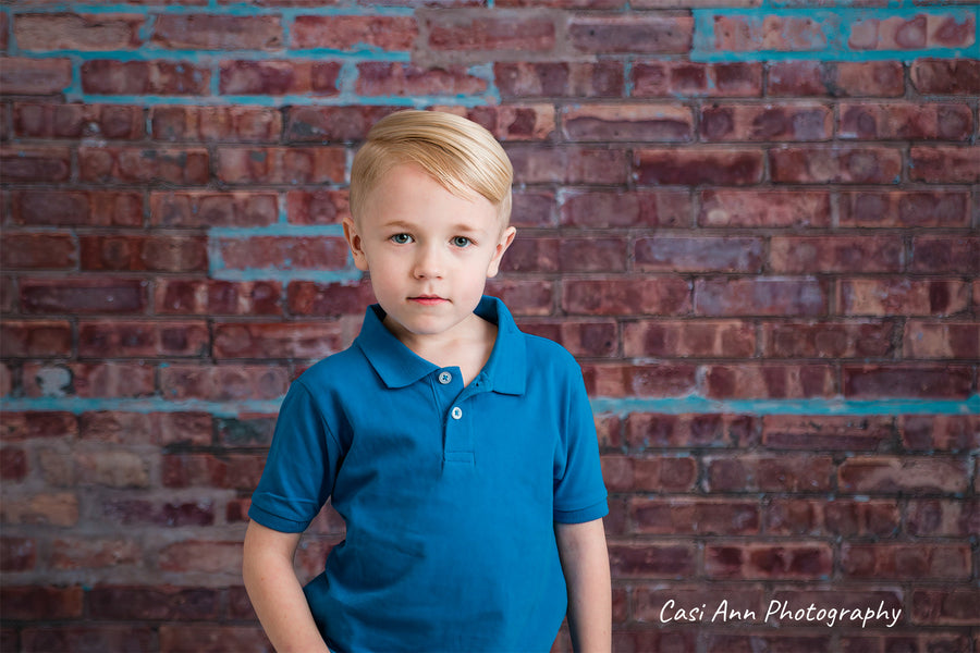 Avezano Red and Blue Brick Wall Photography Backdrop Designed By Casi Ann-AVEZANO