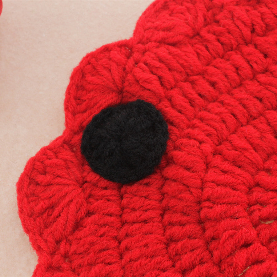 Avezano Baby Photo Knitted Wool Insect Suit Outfits Props