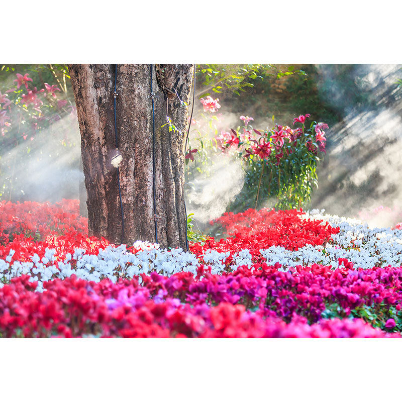 Avezano Spring Colourful Flowers And Trunk Photography Backdrop-AVEZANO