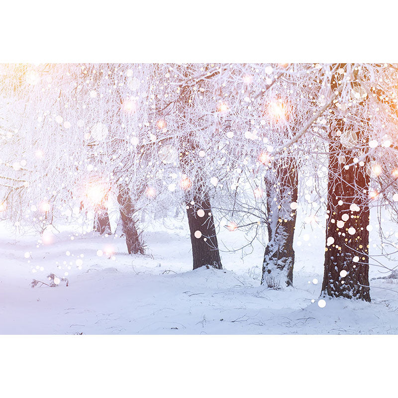 Avezano Snowy Trees With Bokeh In Winter Photography Backdrop-AVEZANO