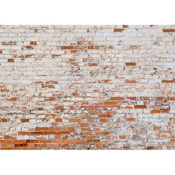 Avezano White And Red Brick Wall Texture Backdrop For Portrait Photography-AVEZANO