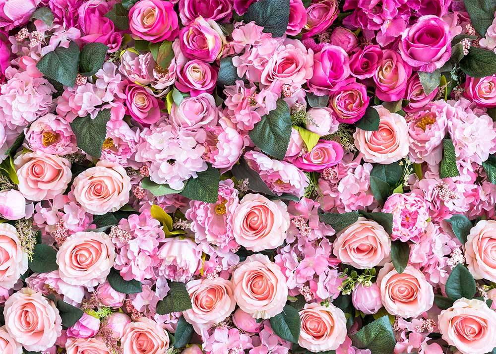 Avezano Pink Rose Flowers Backdrop For Photography-AVEZANO