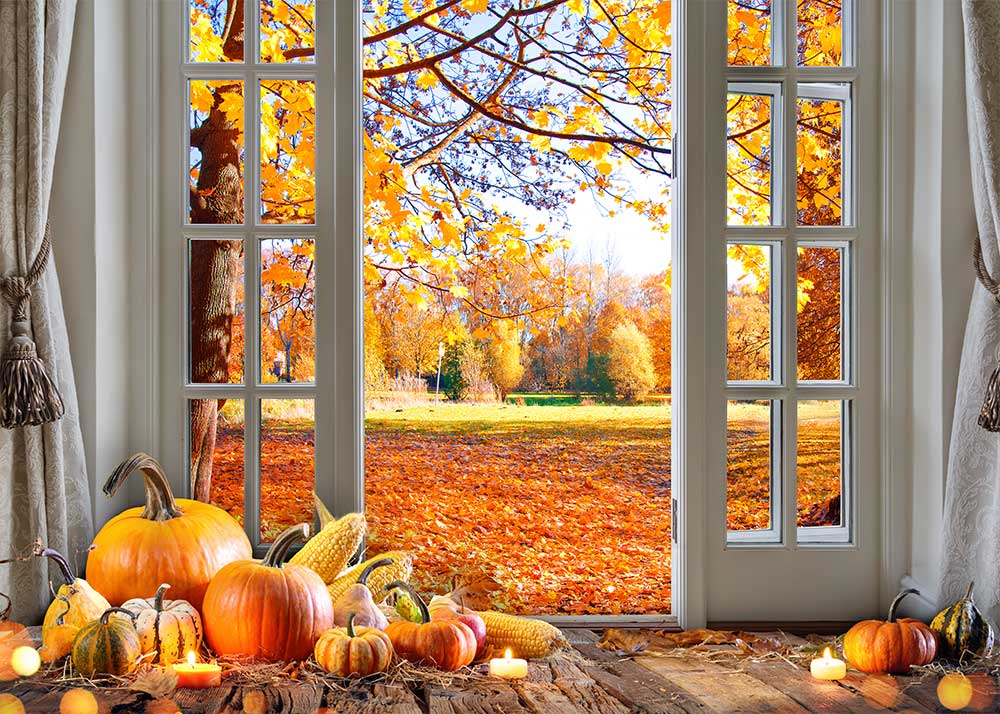 Avezano Autumn Scenery Outside The French Windows Photography Backdrop-AVEZANO