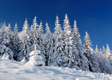 Avezano Winter Snow Forest photography backdrop AN-2242-AVEZANO
