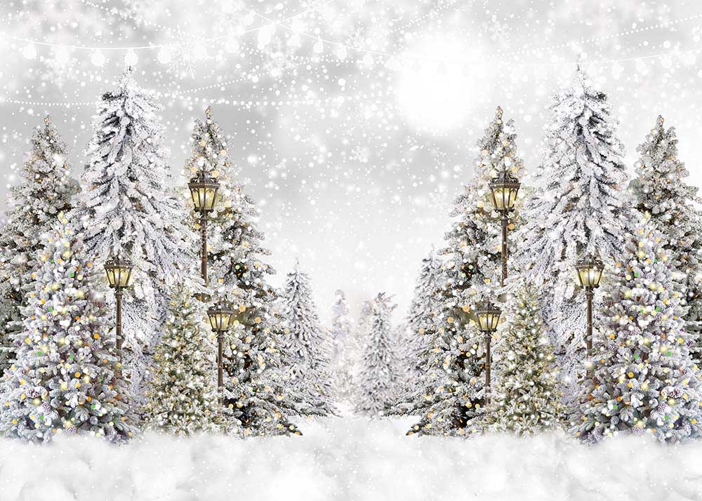Avezano Winter Snow-Capped Pine Trees Backdrop For Photography-AVEZANO